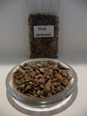Waldweihr.g.-B.JPG